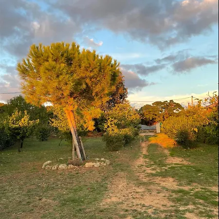 Mare E Machja - Maison Avec Piscine 別荘 *