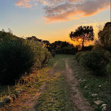 Mare E Machja - Maison Avec Piscine 別荘 *