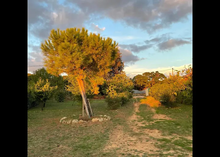 Mare E Machja - Maison Avec Piscine 別荘 *